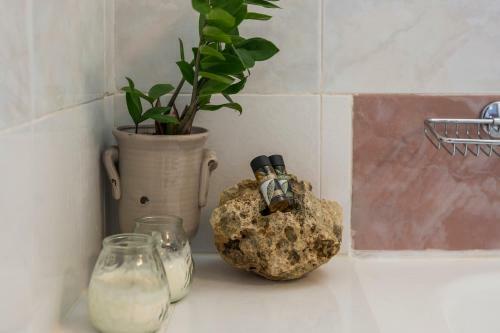 Apartamento Ethyr City Living