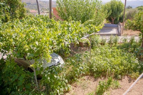 Armenoi Village-garden & Veggies
