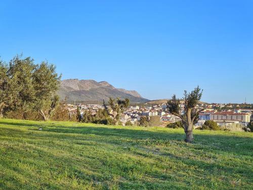 Luxury Apartment Salona