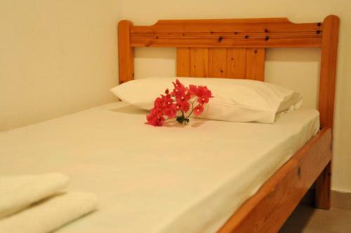 Elli Studios & Apartments