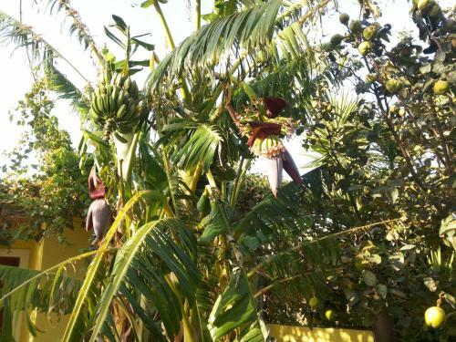 Apartamento Hotel Mando