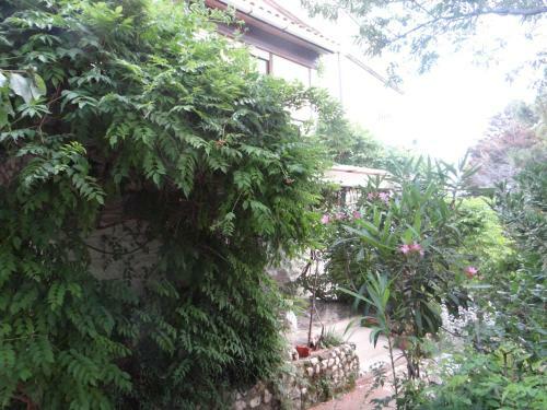 Apartments Bassi