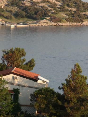 Apartments Bassi