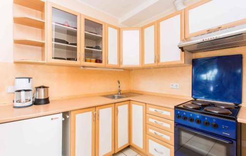 Apartment In Silo/insel Krk 13489