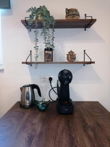 Apartment Iva