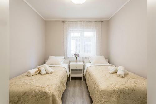 Luxury Apartment Beyond