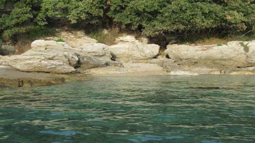Hostal Holiday Home Lumanera
