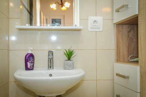 Luxury Apartment Royal