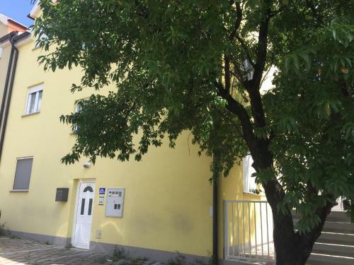Apartments Ema