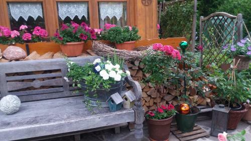 Apartamentos Ferienwohnungen Haus Frick
