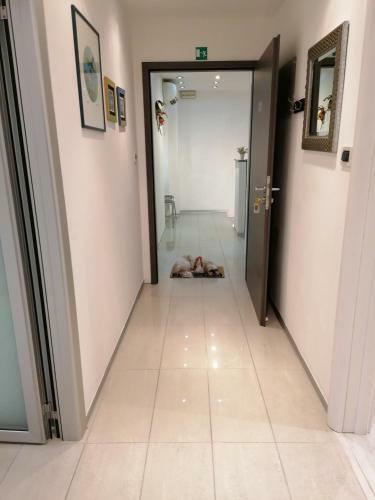 Apartamentos Via Corso