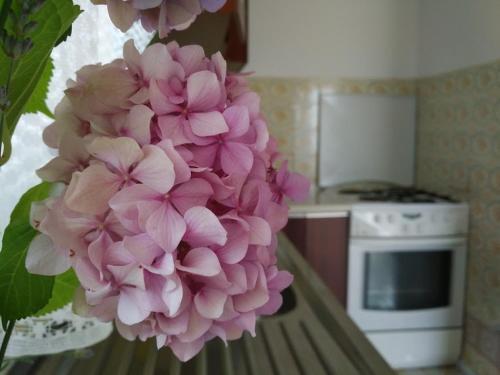 Apartamento Carnerolo***