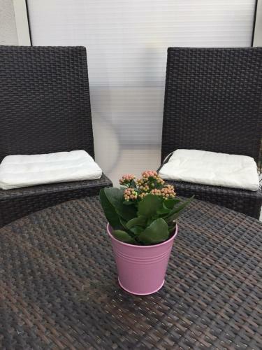 Studio Apartman Nina