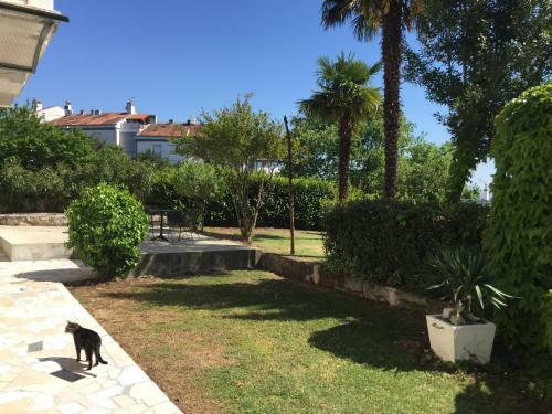 Apartamento Creska IV