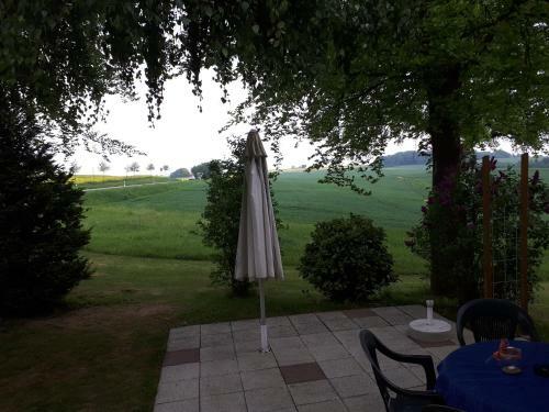 Hostal Gasthaus Pension Zur Buche