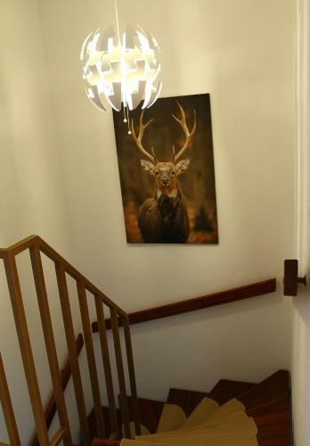 Apartamento Waldblick