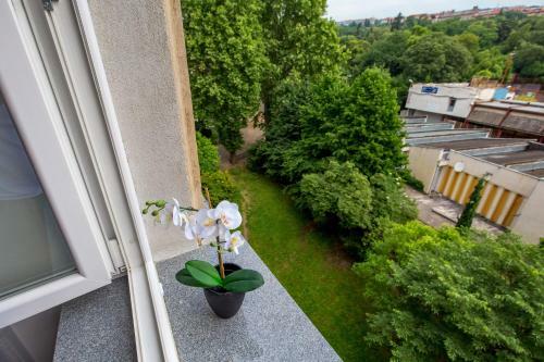 Apartman Deark