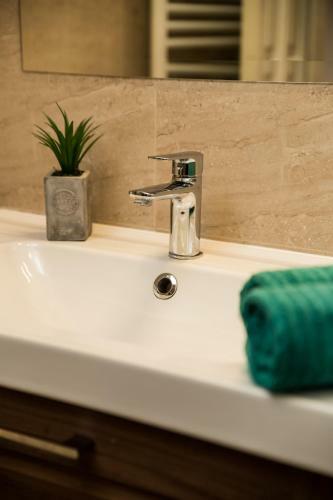 Apartamentos Fluvius