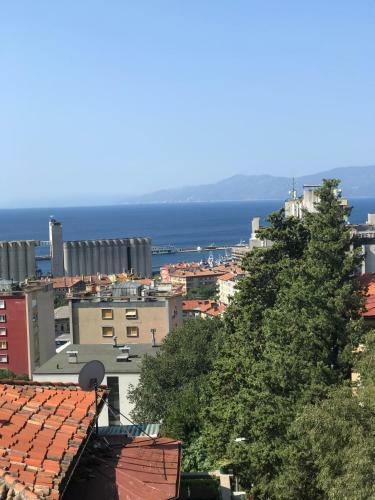 Apartman Vidi
