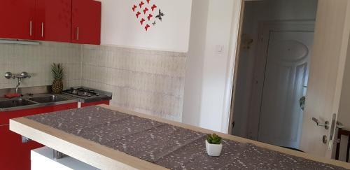 Apartamentos Studio Rijeka 17761a