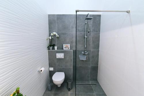 Apartamentos Vitopolis 3