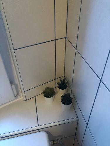 Apartamentos La Madre