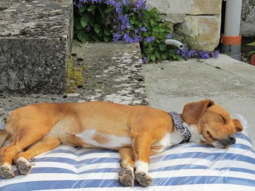 Bed & Breakfast Le Clos De La Garde