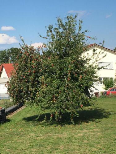 Apartamento Burgfreude