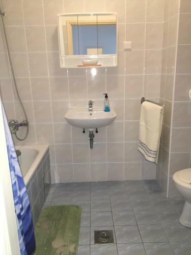 Apartman Mimoz