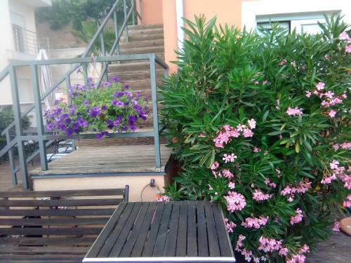 Apartments Mare Croatia