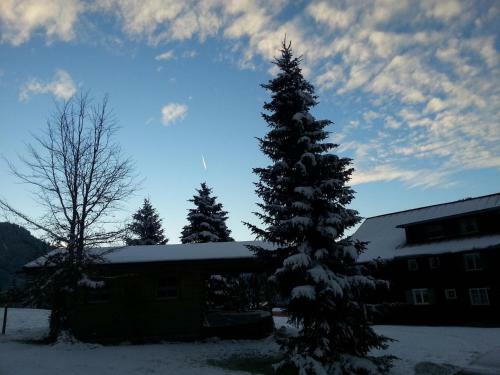 Apartamento G�stehaus Nussbaumer