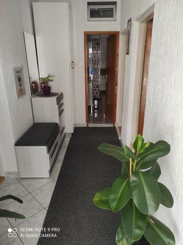 Apartment Katarina