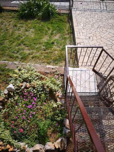 Apartmani Krijesnica
