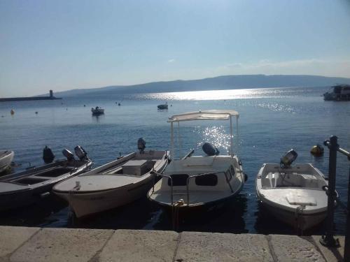 Apartment In Senj 40163