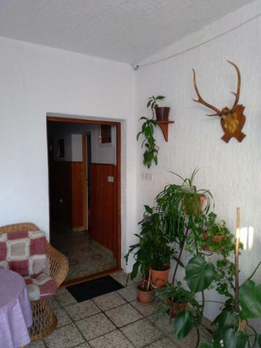 Apartamento Magdalena