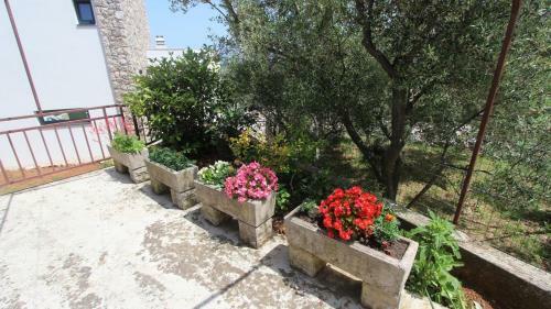 Apartment Lesica