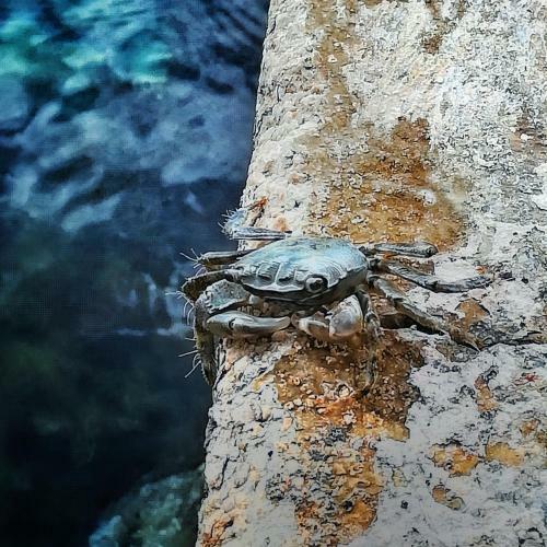Ku?a Za Odmor Marina