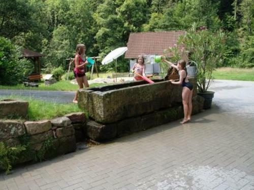 Apartamento Hanselishof
