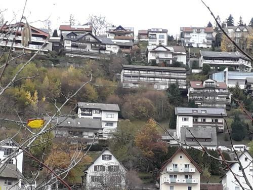 Apartamento Ferienwohnung Panorama