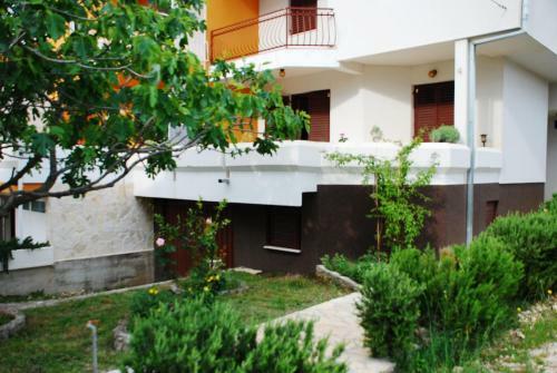 Apartments Delibasic