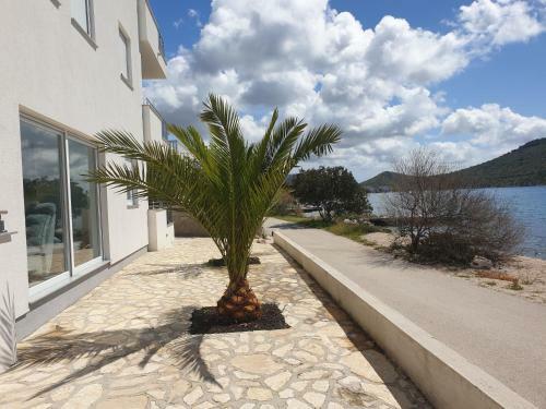 Apartamentos Vila Kika
