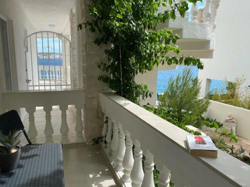 Hostal Villa Maluma