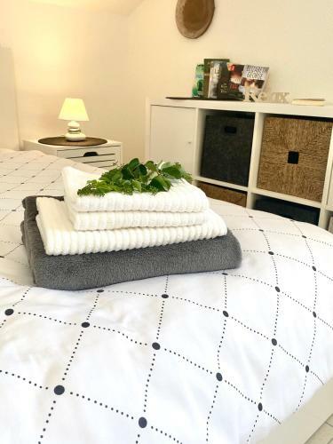 Hostal Villa Maluma