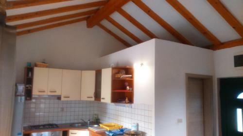House Marko