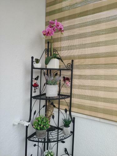 Apartmani Mara Rogoznica