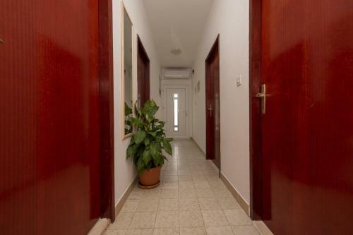 Apartment Zivkovic