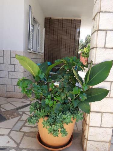 Apartments Ukic