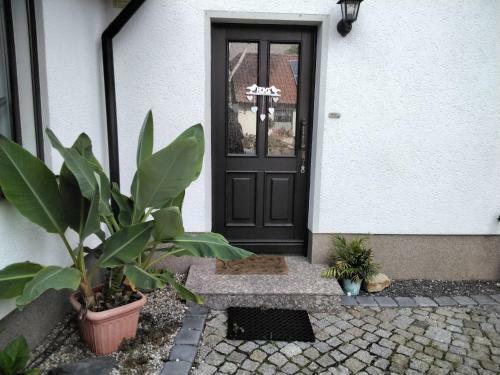Apartamento Pusteblume