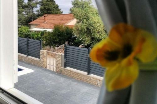 Nice Apartment -with New Private Pool