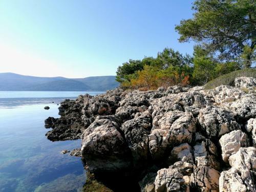 Vacation House Mlaki Rot